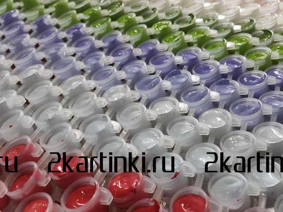 Картина по номерам 40x50 BOX25-GX3223 Коробка 25 шт. картин по номерам BOX25-GX3223 за 11750 руб.  в интернет-магазине  Картина по номерам 40x50 Коробка 25 шт. картин по номерам BOX25-GX3223