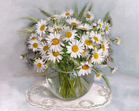 Без бренда «2KMA-0021» в Череповце