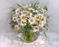 Без бренда «2KMA-0021» в Череповце