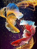 Без бренда «Желтая и красная рыбки» в Череповце