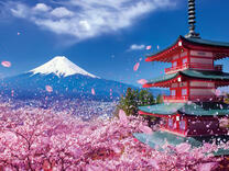 Без бренда «2KSB-7277» в Череповце