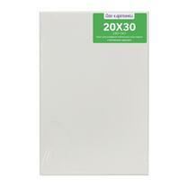 Без бренда «Коробка 80 шт.: Холст Две картинки на подрамнике 20X30» в Череповце