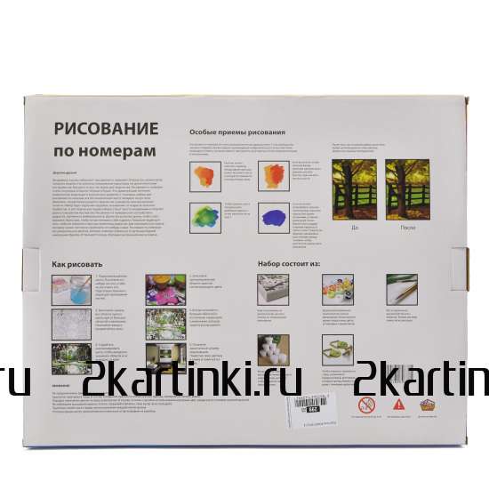 Картина 30x40 WB8023 Девушка с розовой розой на голове за 410 руб.  в интернет-магазине  Картина 30x40 Девушка с розовой розой на голове