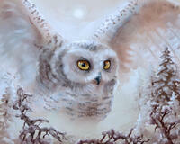 Без бренда «Полярная сова над лесом (20шт)» в Череповце