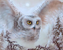 Без бренда «Полярная сова над лесом (20шт)» в Череповце