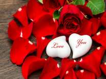 Лепестки роз