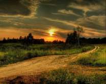 Без бренда «Проселочная дорога на закате» в Череповце