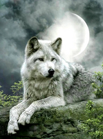 Без бренда «Коробка 25 шт. картин по номерам BOX25-GX21058» в Череповце