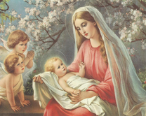 Коробка 25 шт. картин по номерам BOX25-GX31703