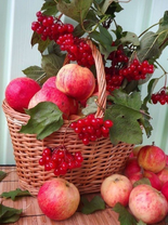 Без бренда «Коробка 25 шт. картин по номерам BOX25-GX5174» в Череповце