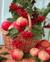 Без бренда «Плетёная корзина с калиной и яблоками» в Череповце