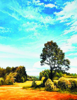 Без бренда «Осенний пейзаж с голубым небом» в Череповце в интернет-магазине  Без бренда «Осенний пейзаж с голубым небом» в Череповце