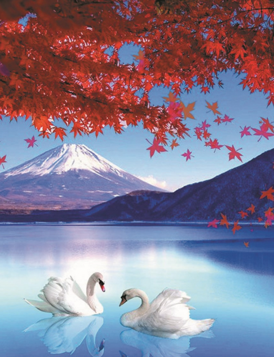 Алмазная мозаика 40x50 Белые лебеди в чистом горном озере