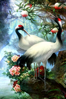 Без бренда «Коробка 25 шт. картин по номерам BOX25-GX29399» в Череповце в интернет-магазине  Без бренда «Коробка 25 шт. картин по номерам BOX25-GX29399» в Череповце