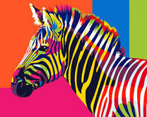 Разноцветная зебра