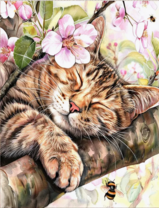 Без бренда «Волосатый котик спит на ветви яблони» в Череповце в интернет-магазине  Без бренда «Волосатый котик спит на ветви яблони» в Череповце