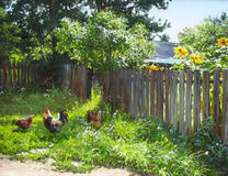 Летний деревенский пейзаж